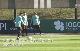 2006年世界杯意大利vs澳大利亚 2006年世界杯意大利vs澳大利亚